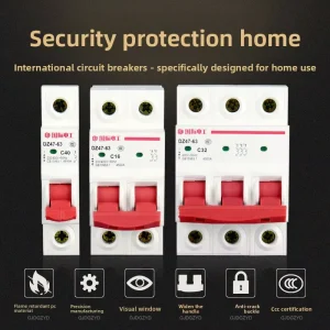 Small Circuit Breaker Leakage Protector DZ47 63A 2P 50Hz Protective Switch Household Main Air Switch