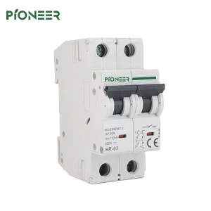 Solar 2-Pole DC MCB 600V/1000V 6-63A PA66 Li Circuit Breaker for Solar System