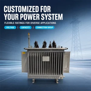 Stable Output Voltage 50hz 450kva 1000kva Fully Insulated Oil Immersed Transformer Power Transformer for Power Plant