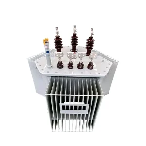 Supply 35KV Low Loss Transformer High Voltage 50KVA 80KVA 100KVA Oil Immersed Transformer Customized