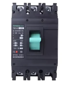 TGM1N 2P DC 1000V Solar Molded Case Circuit Breaker MCCB Overload Protection Switch for Solar Photovoltaic PV