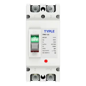 TPM7-125 2P Molded Case Circuit Breaker MCCB DC500V 2 Pole 125A 2 Phase Industrial Power Distribution Switch 20kA Breaking
