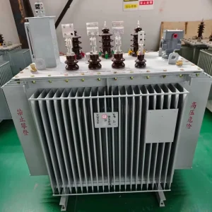 Three Phase Low Loss High Voltage High Insulation Oil Immersed Distribution Transformer Energy Saving Dual Winding Coil