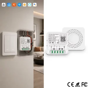 Tuya Matter WiFi 16A Voice Remote Control Timer Module Switch for Commercial Projects and Distribution