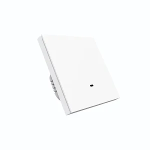 Tuya Smart EU 10A Light Switch 1 Gang Mechanical Light Switch EU Support Remote Control for Smart Home