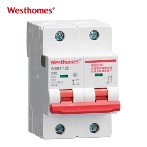 WSB1-125 AC Miniature Circuit Breaker 125A MCB Copper 1P-4P 10KA Breaking Capacity with Overload Short-circuit Protection
