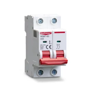 WSB1 63 2P MCB Copper Miniature Circuit Breaker 220V 230V 4.5kA 6kA 6A 63A BCD CE CB Certificate Rail Mounting