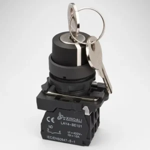 Waterproof IP65 LAY4-EG21 2 Position Latching Key Selector Switch Metal Electronic Home Appliance 10A 220V