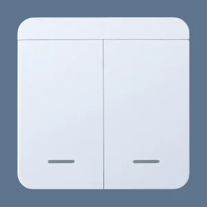 Wireless 2 Buttons Remote Control Light Switches Open Close Two Channels Remote Control Wall Switches Manufacturer