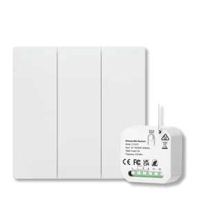 Wireless Smart Life Wall Switches EU UK Standard IP65 Waterproof Button Switch Remote Control 2 Way 1 2 3 Gang RF433 10A