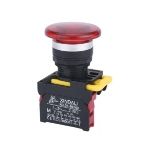 XDL22 Series IP65 Waterproof Electronic Plastic Push Button Flat Rotary Key Self Reset Lock Dual Emergency Stop
