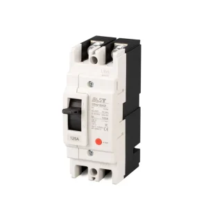 YSTM6 125M 2P 125A Molded Case Circuit Breaker (MCCB) 2-Pole Protection